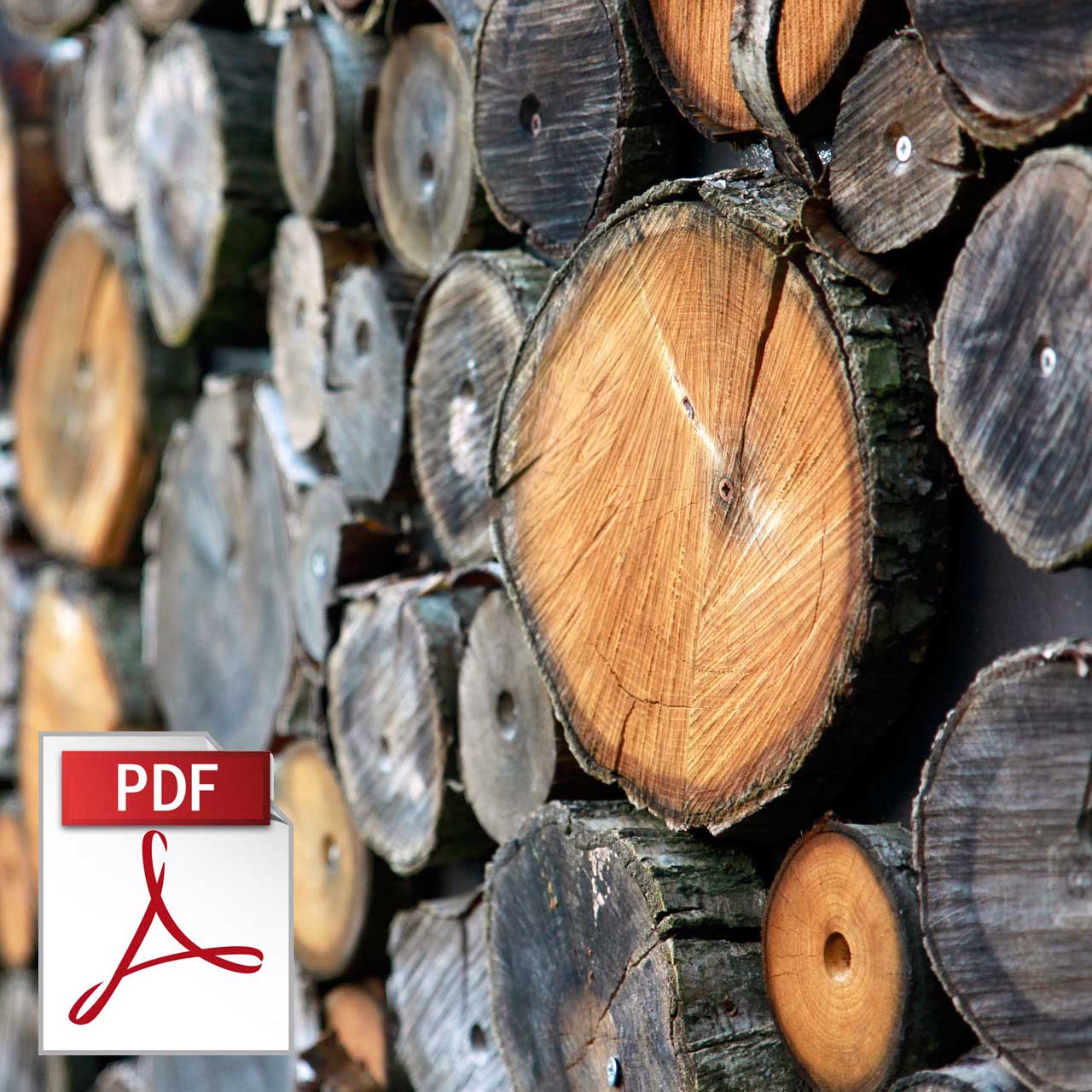 Hochbeet aus Holzspansteine