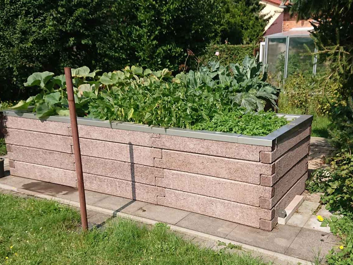 Mit einem Frühbeet-Aufsatz wuchert es !